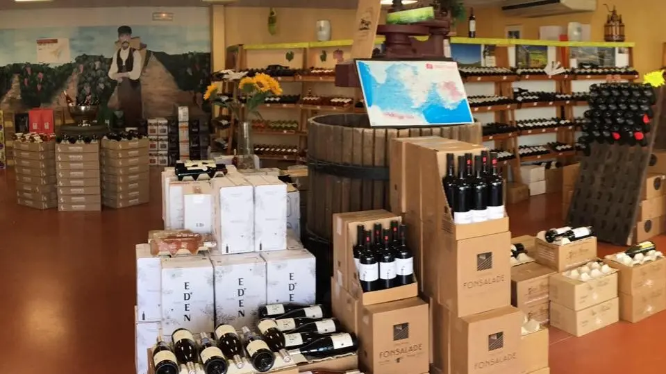 Vue d’ensemble des présentoirs et rayonnages de vins dans la boutique.