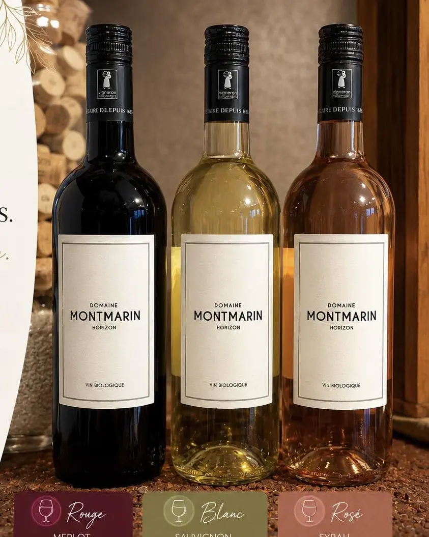 Trois bouteilles de vin rouge, blanc et rosé présentées dans la cave.